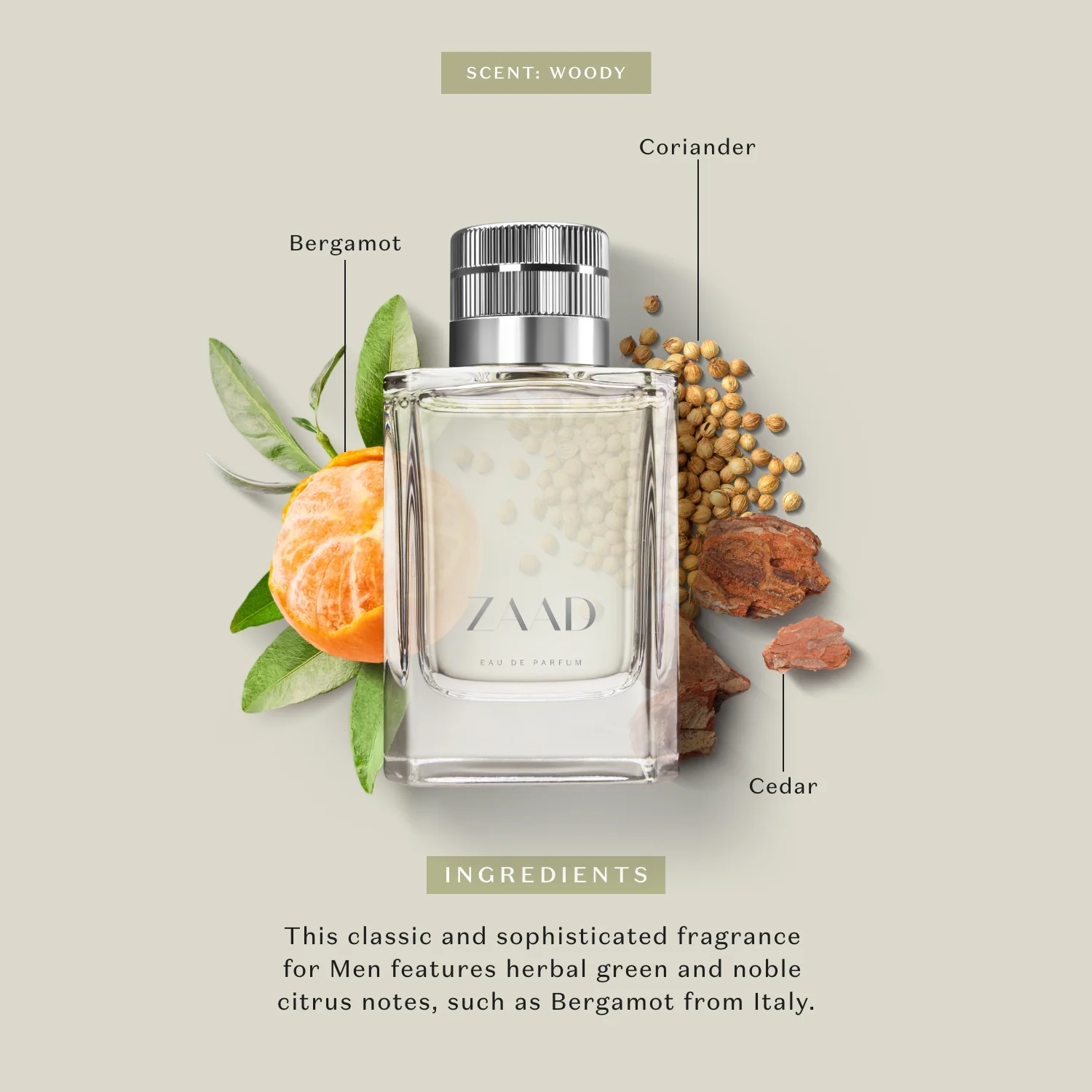 Zaad Classic Eau de Parfum for Men - Image 3